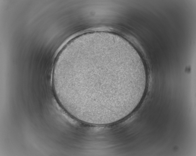 X0000112951228200910051211