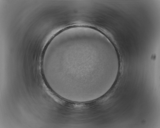 X0000112951231200910051211