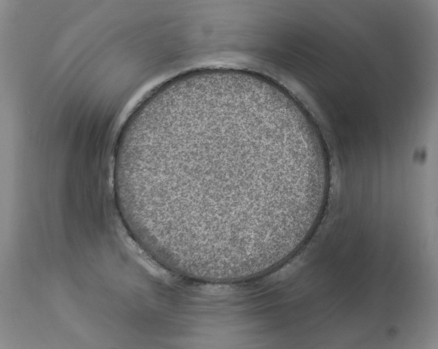 X0000112951232200910051211