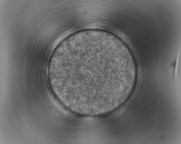 X0000112951234200910051211