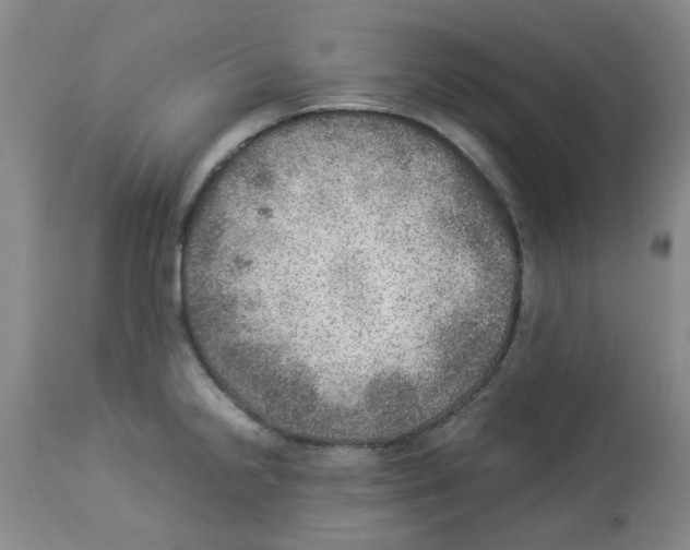 X0000112951238200910051211