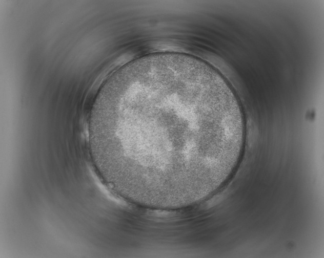 X0000112951241200910051211