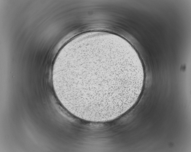 X0000112951242200910051211