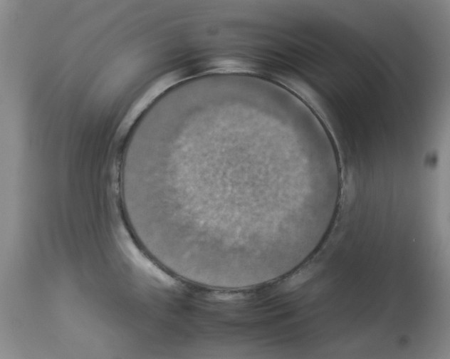 X0000112951243200910051211