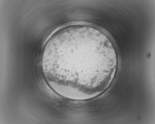 X0000112951244200910051211
