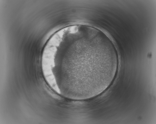 X0000112951246200910051211