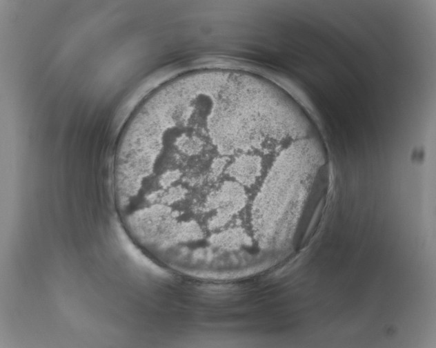 X0000112951247200910051211