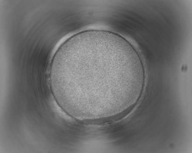 X0000112951248200910051211
