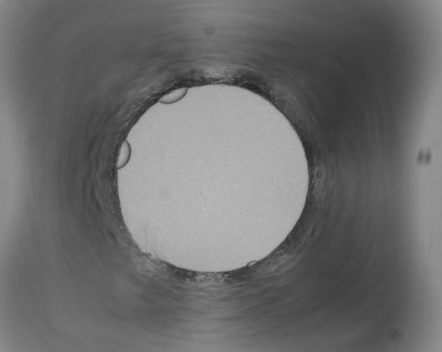 X0000112951249200910051211