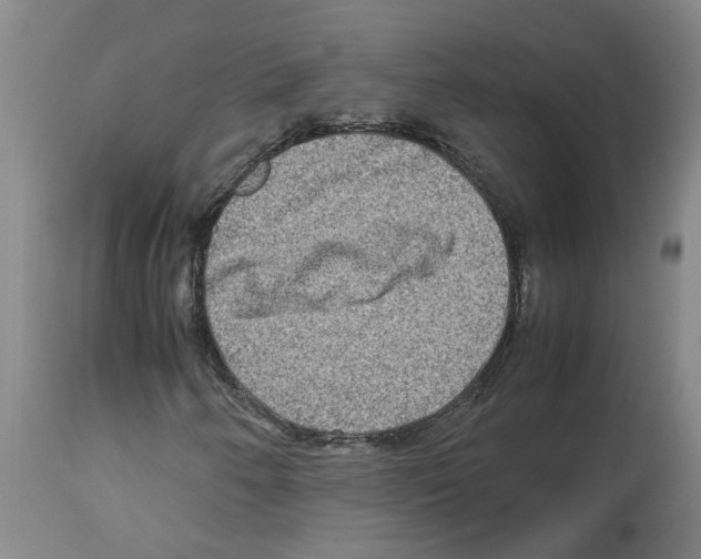 X0000112951250200910051211