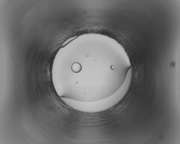 X0000112951252200910051211