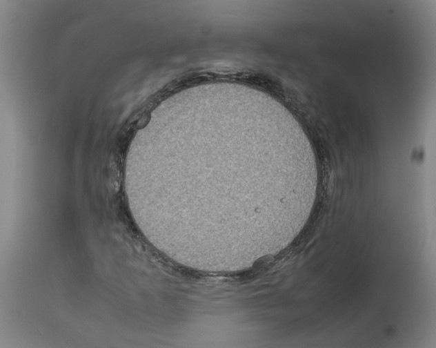 X0000112951253200910051211