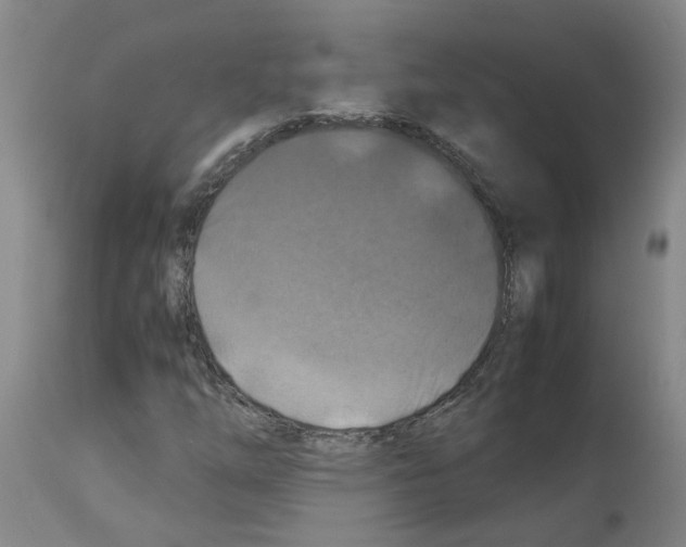 X0000112951254200910051211
