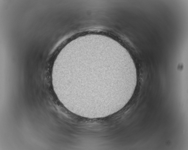 X0000112951256200910051211