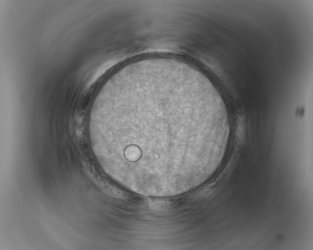 X0000112951258200910051211