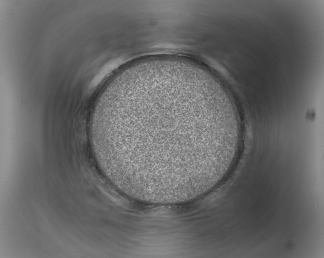 X0000112951259200910051211