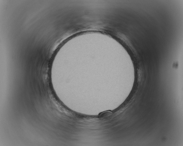 X0000112951260200910051210