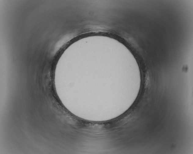 X0000112951261200910051210