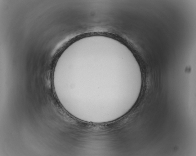 X0000112951262200910051210