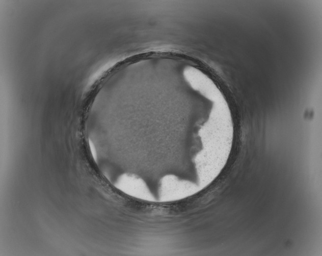 X0000112951263200910051210