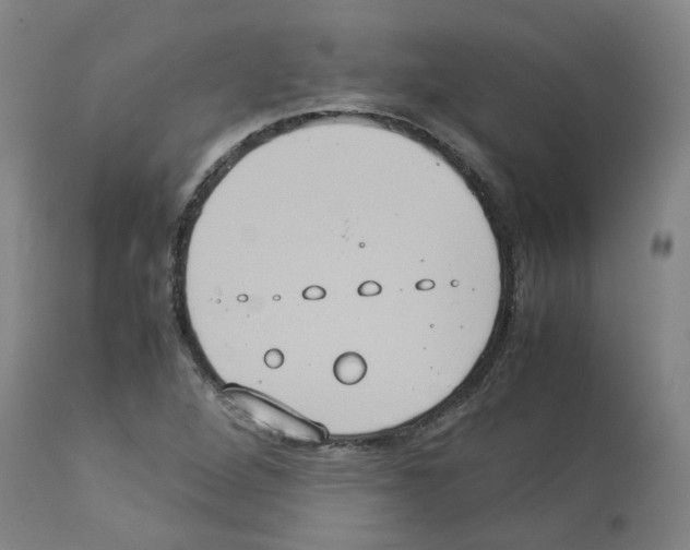 X0000112951264200910051210