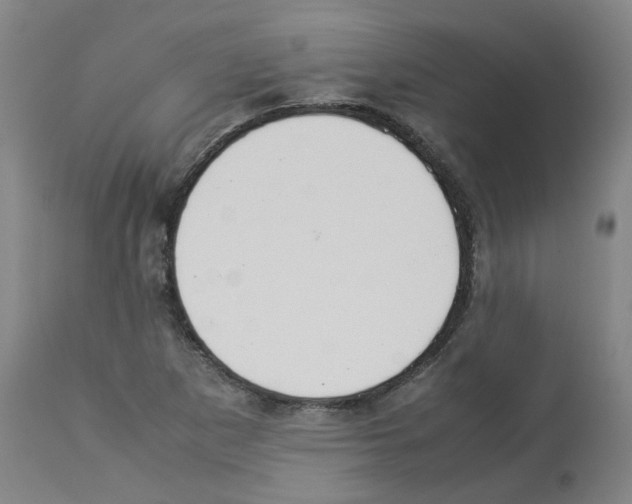 X0000112951265200910051210