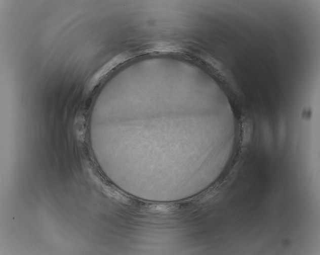 X0000112951266200910051210