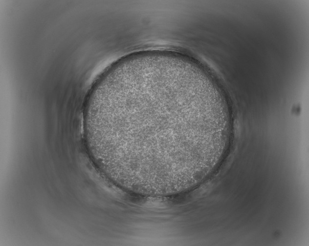 X0000112951267200910051210