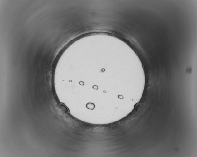 X0000112951268200910051210