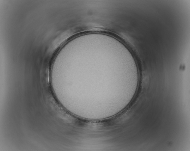 X0000112951269200910051210