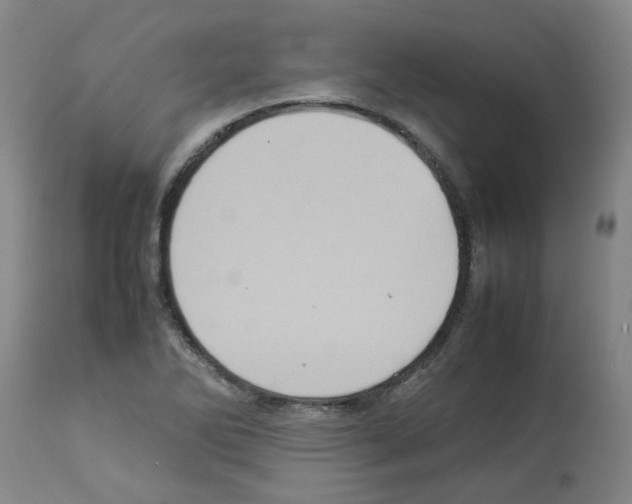 X0000112951270200910051210