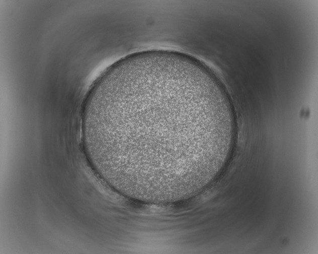 X0000112951271200910051210