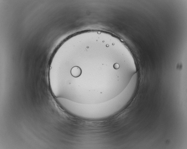 X0000112951272200910051210