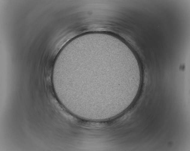 X0000112951273200910051210
