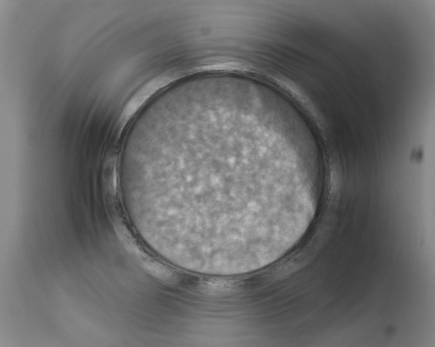 X0000112951274200910051210