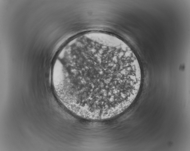 X0000112951275200910051210