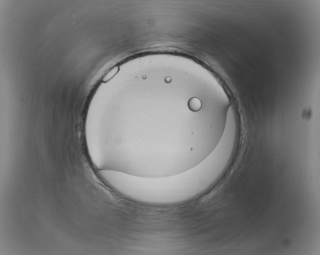 X0000112951277200910051210