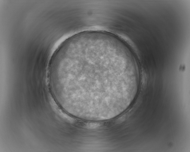 X0000112951278200910051210