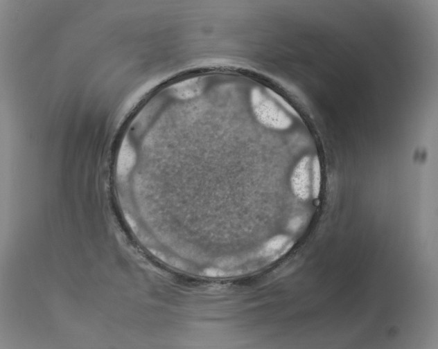 X0000112951279200910051210