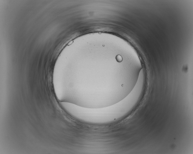 X0000112951281200910051210