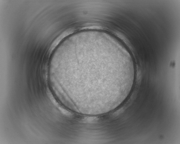 X0000112951282200910051210