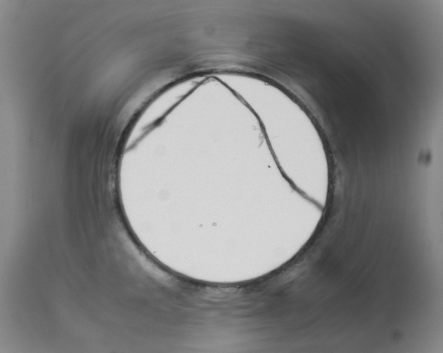 X0000112951285200910051210