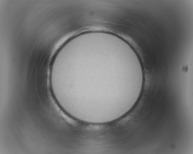 X0000112951286200910051210