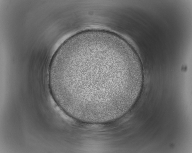 X0000112951287200910051210
