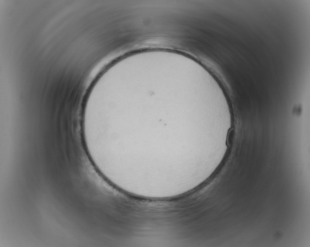 X0000112951288200910051210