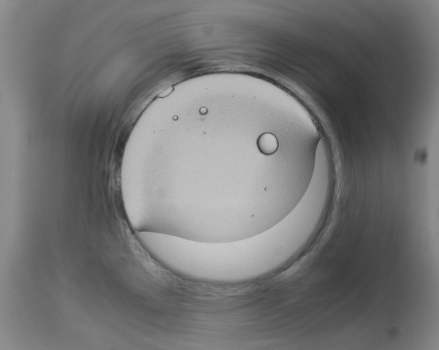 X0000112951289200910051210