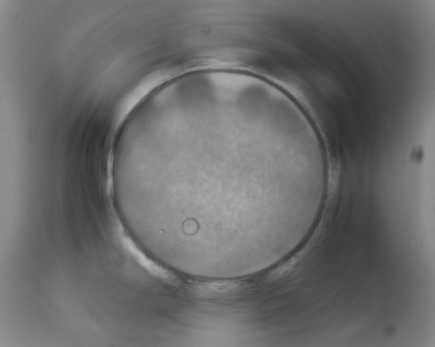 X0000112951294200910051210