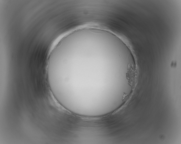 X0000112951296200910051210