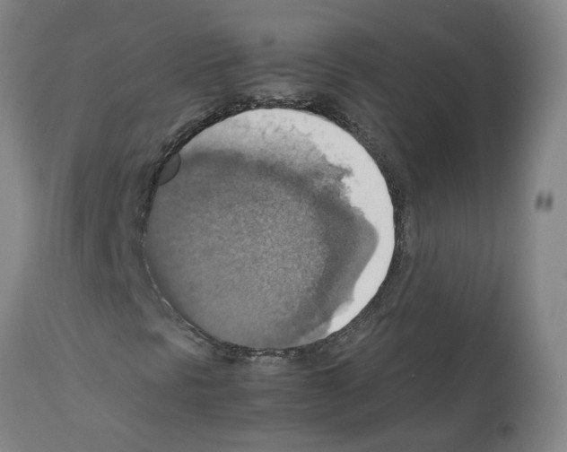 X0000112951297200910051209