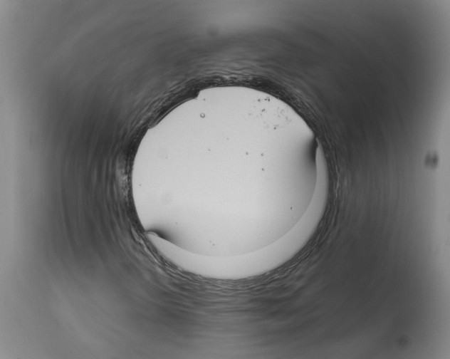 X0000112951298200910051209